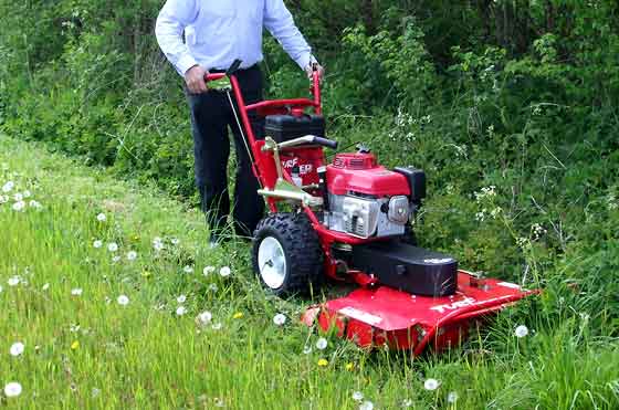 brush cutter for mowing long grass (large pic)