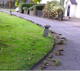 turfteq power edger button